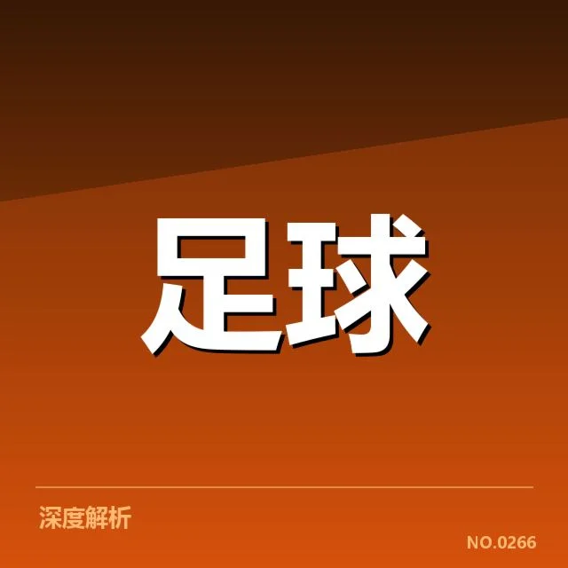 权威发布的意甲伤病名单细节说明